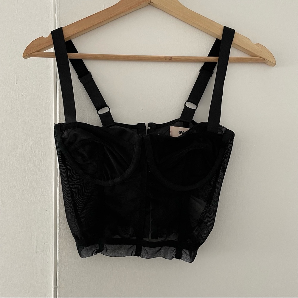 Danielle Guizio sheer corset top